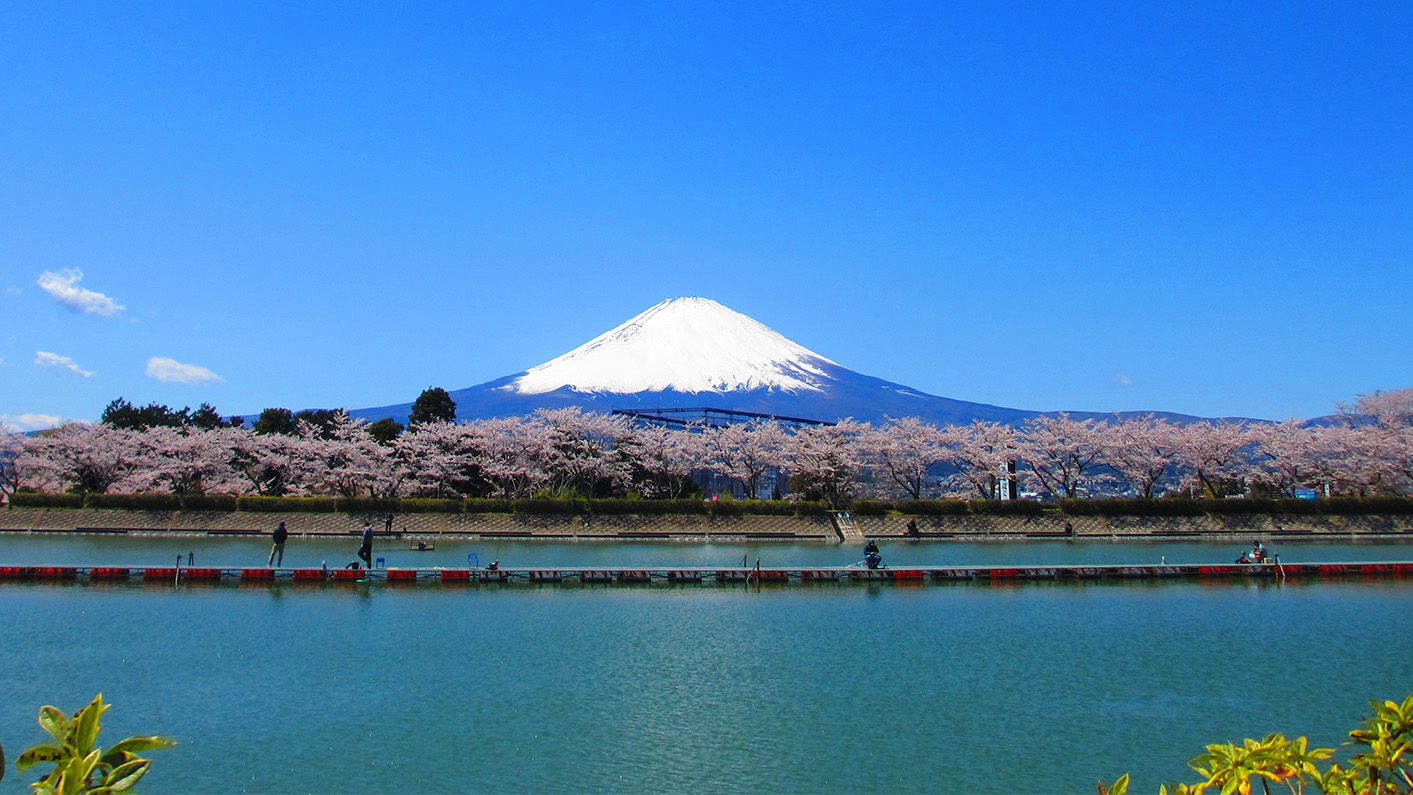 施設東山湖画像